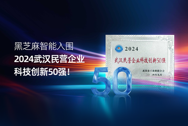 黑芝麻智能入圍2024武漢民營企業(yè)科技創(chuàng)新50強！