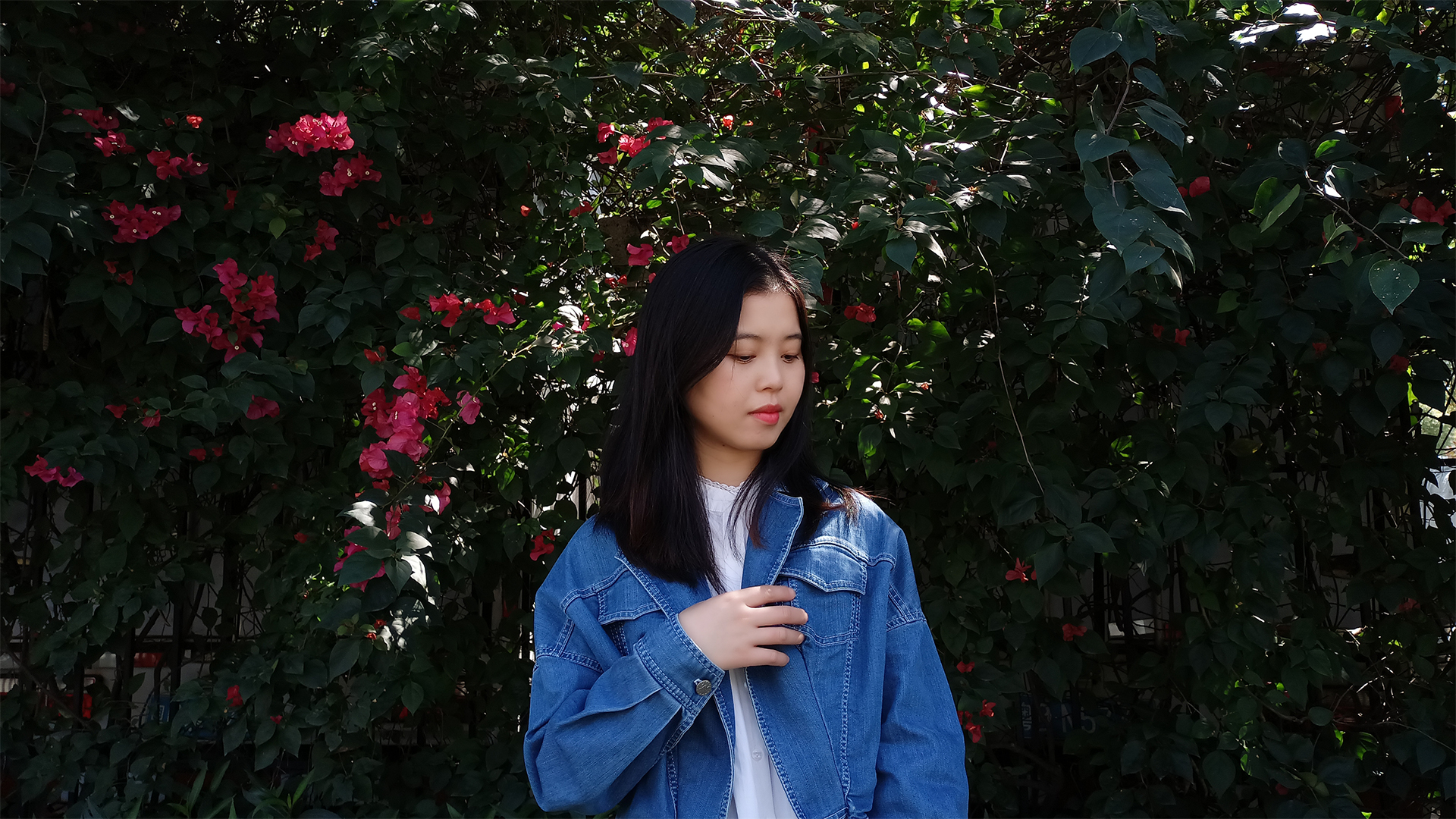 黑芝麻